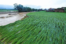 蒼梧網站建設