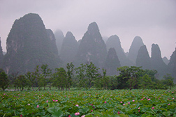 鐘山網站建設