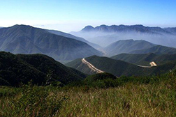 黎城網站建設