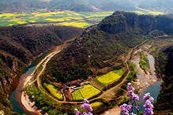 南漳網站建設