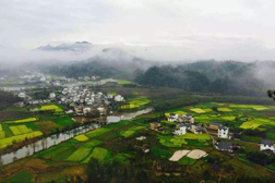 祁門網站建設