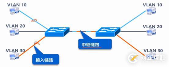 VLAN、Trunk、三層交換機（劃重點，要考）