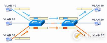 VLAN、Trunk、三層交換機（劃重點，要考）