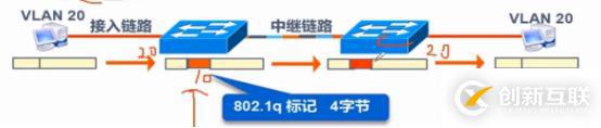 VLAN、Trunk、三層交換機（劃重點，要考）