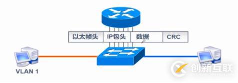 VLAN、Trunk、三層交換機（劃重點，要考）