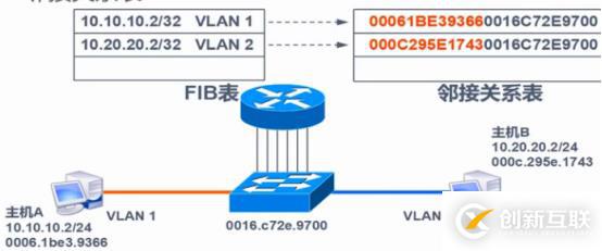 VLAN、Trunk、三層交換機（劃重點，要考）