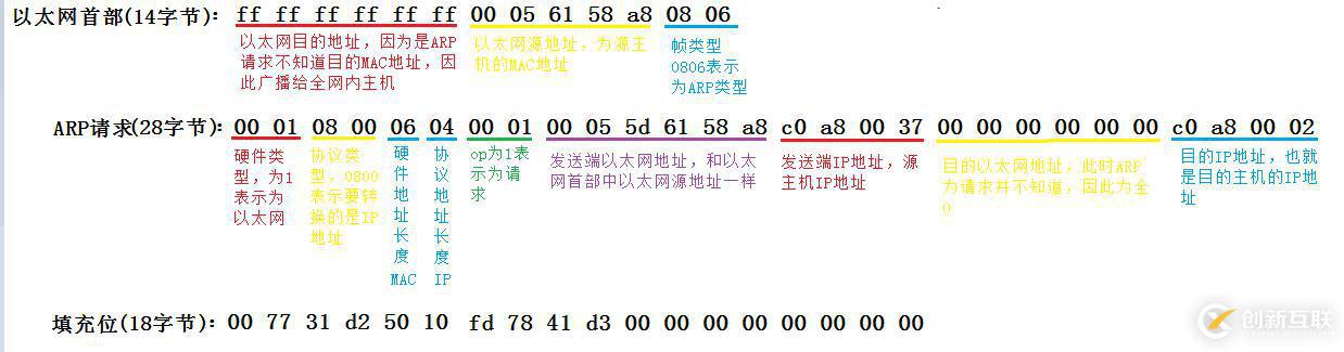 ARP數據報傳送格式