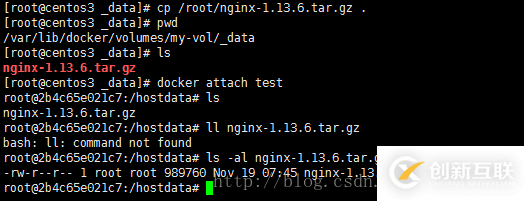 如何利用Volume在主機和Docker容器文件傳輸