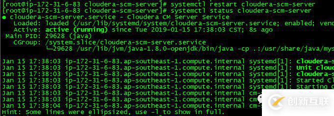 如何對Cloudera  Manager的數據庫密碼進行脫敏