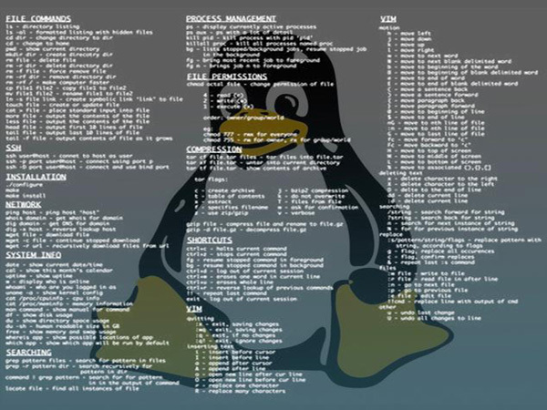 Linux命令