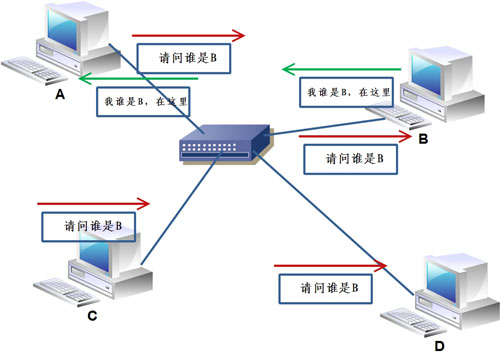 ARP是什么