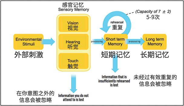 通過記憶心理學提升網站用戶體驗a