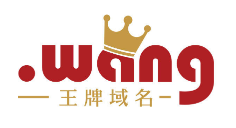 wang牌域名成就您 如何做網站seo