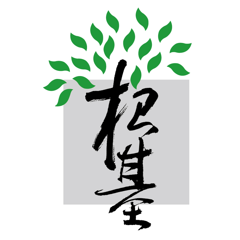 網(wǎng)站設計基礎