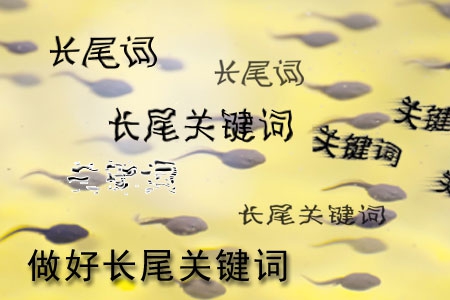 做網(wǎng)站怎樣做好長尾關(guān)鍵詞設(shè)置？