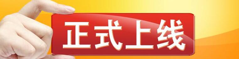 成都網站建設