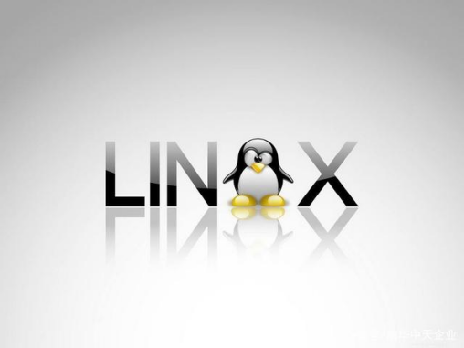 如何在Linux服務器上進行關機操作？